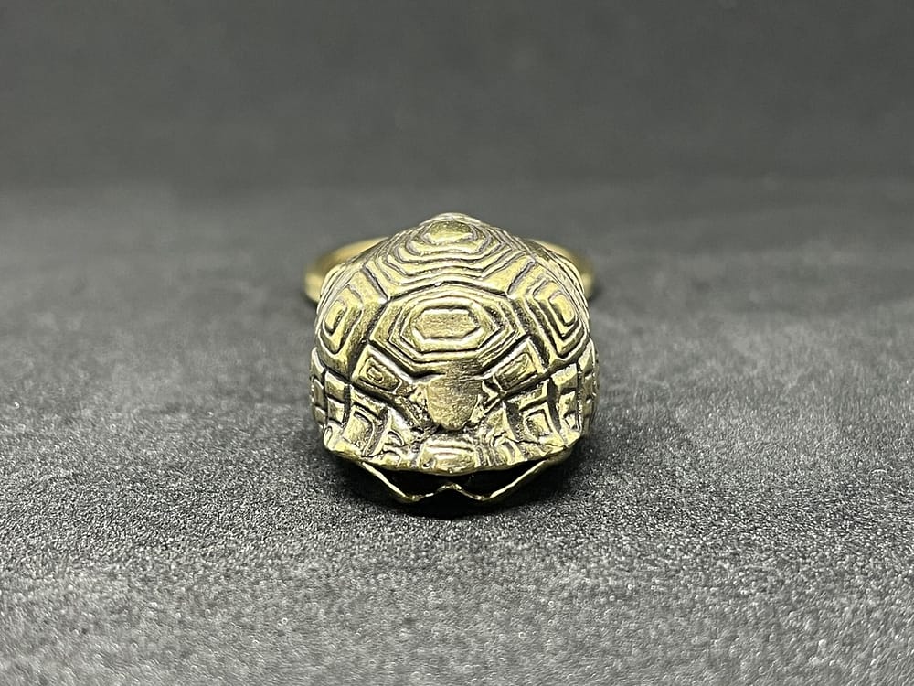 亀の甲羅 - 画像 (4)