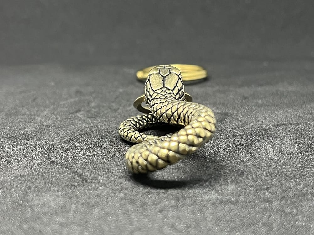 パイソン - 画像 (4)