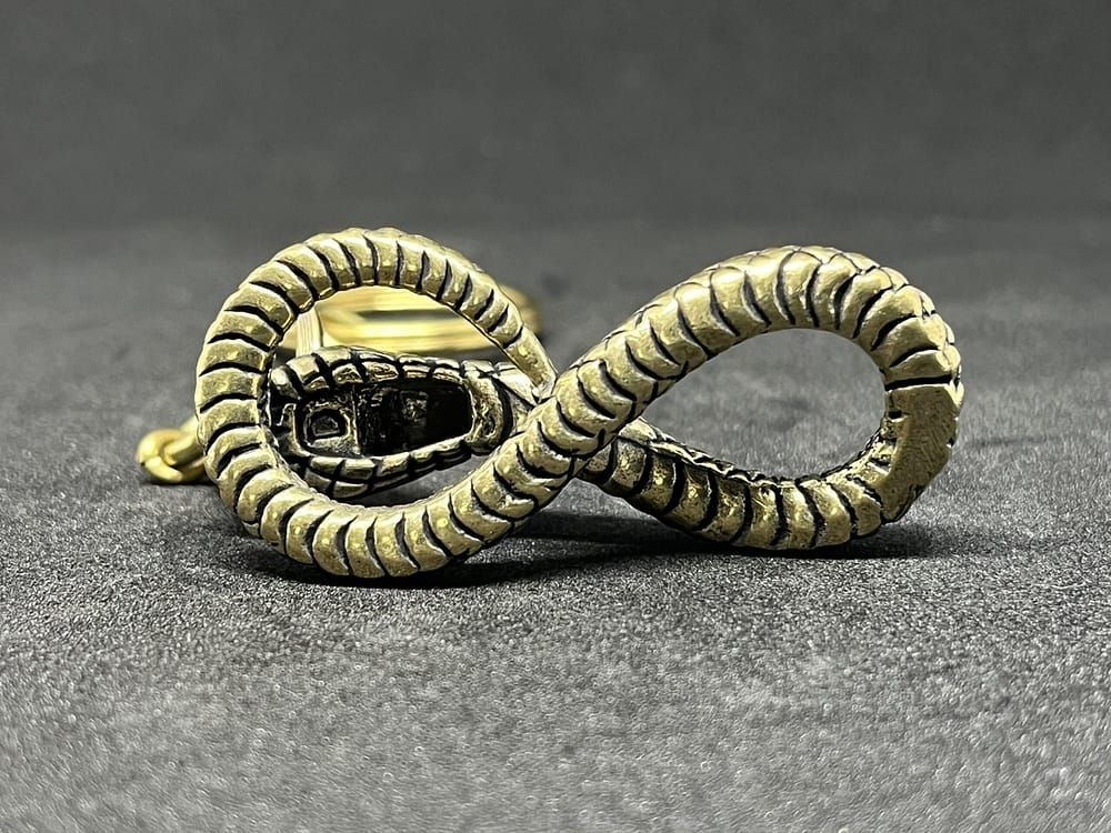 パイソン - 画像 (6)