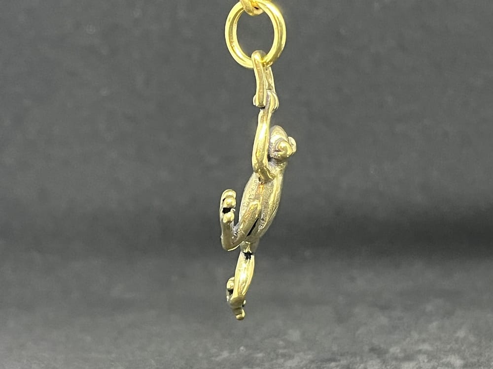 カエル - 画像 (5)