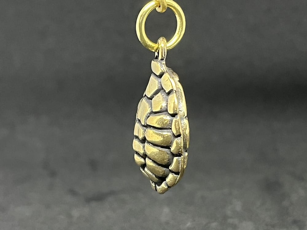 亀の甲羅　縁起 - 画像 (5)