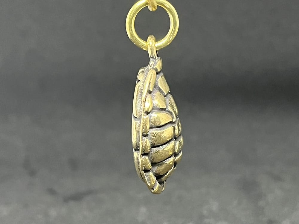 亀の甲羅　縁起 - 画像 (3)