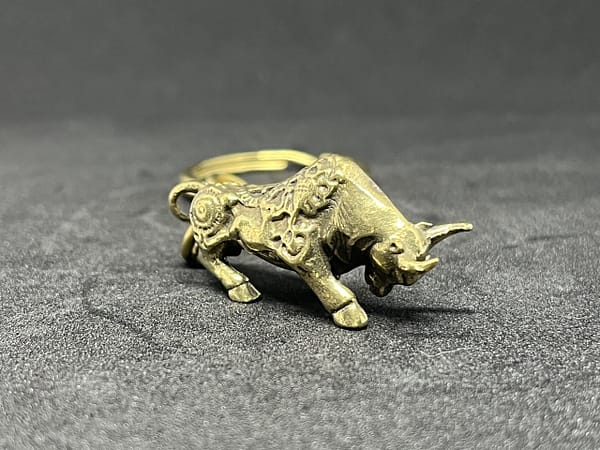 闘牛 - 画像 (2)