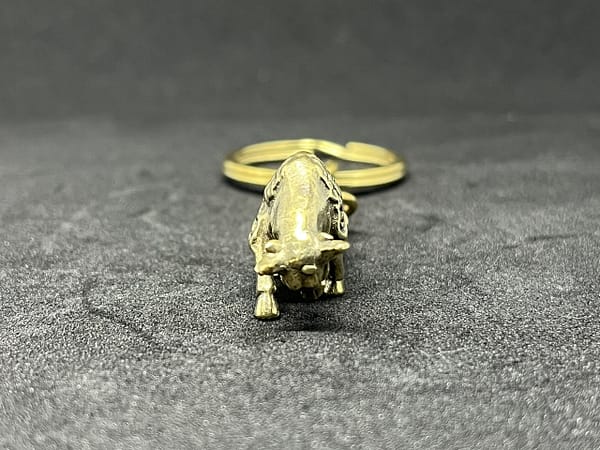 闘牛 - 画像 (5)