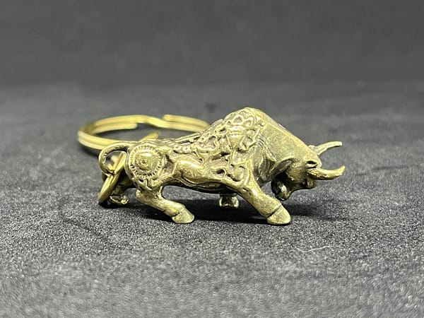 闘牛 - 画像 (4)