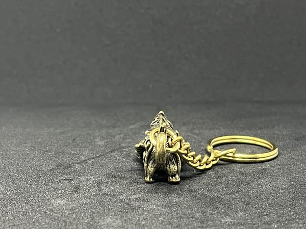 猪 - 画像 (4)