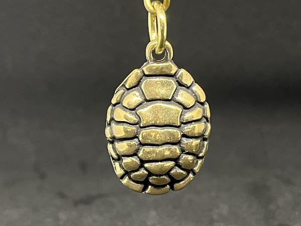 亀の甲羅　縁起 - 画像 (4)